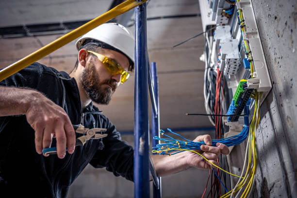 Best Electric Panel Repair  in Hahnville, LA